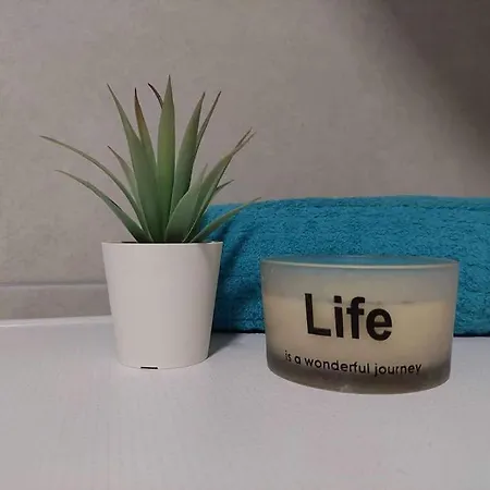 Urban Comfort Apartment