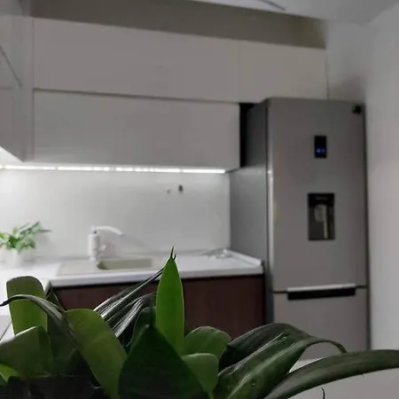 Urban Comfort Apartment
