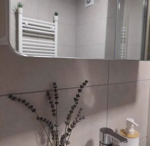 Urban Comfort Apartment *