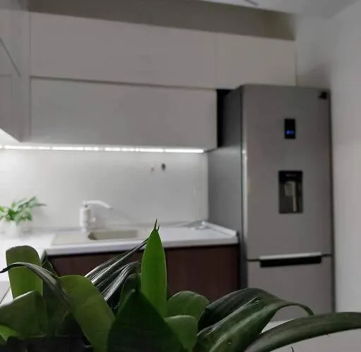 Urban Comfort Apartment